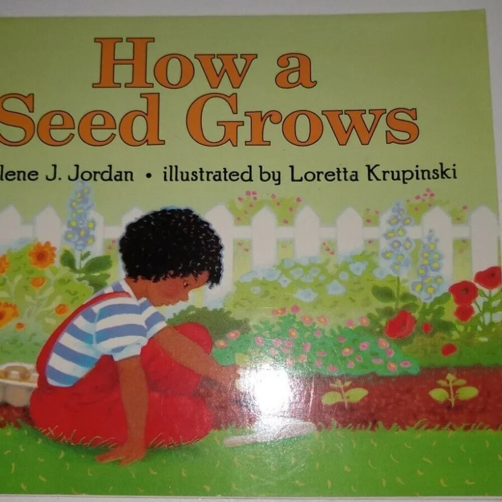 Go Rock Collecting + How Seed Grows + book about Bubbles + What Lives in a Shell